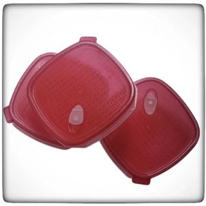 Microwave Safe Tupperware Used for Raw Meat Dog Food Diet-OS